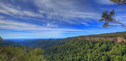 Canyon Lookout - Springbrook National Park - QLD T (PB5D 00 4256)